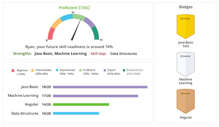 organizational skill index